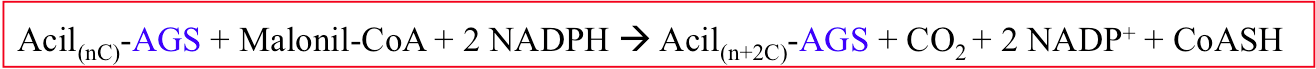Imagen de Ecuación de los ciclos