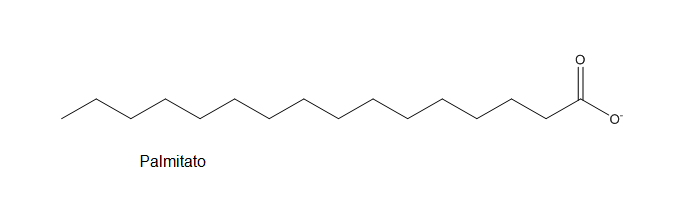 Imagen del ácido palmítico